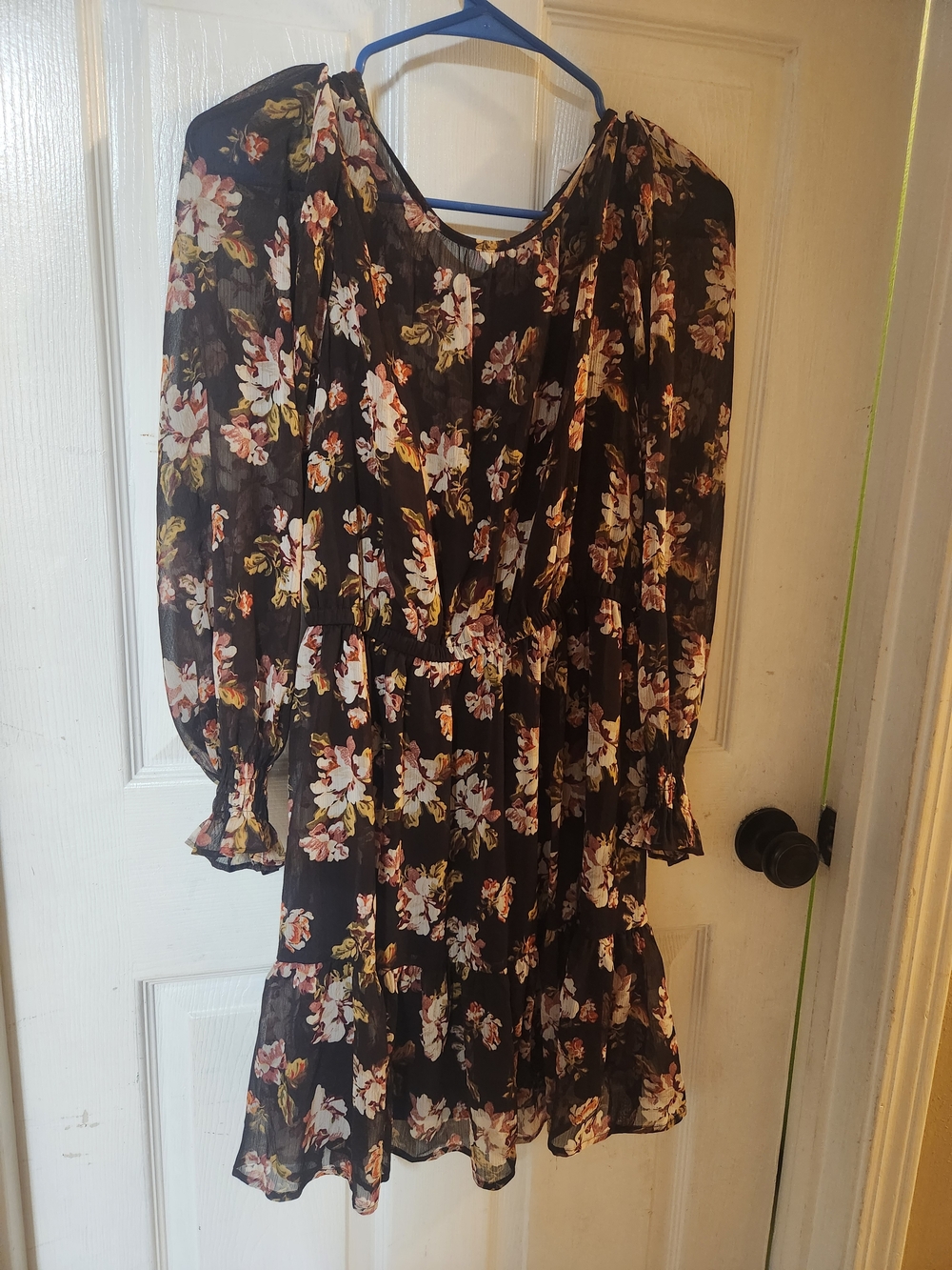Sheer Black Floral Ruffle Mini Dress